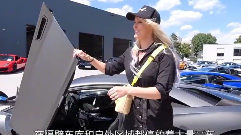 感受一下中东土豪的车库吧